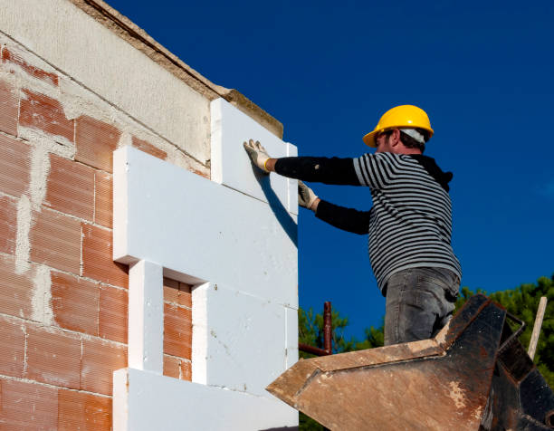 Best Insulation Maintenance and Repair in Meridian, MS