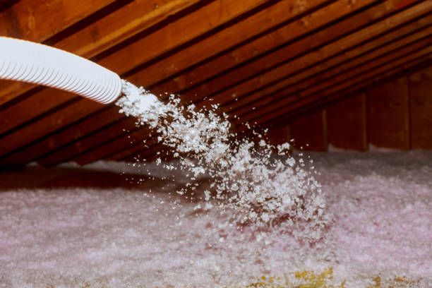 Trusted Meridian, MS Insulation Contractor Experts