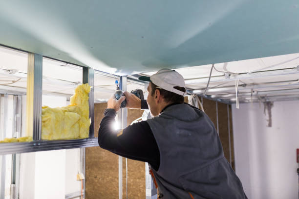 Best Eco-Friendly Insulation in Meridian, MS