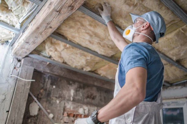 Best Insulation for Specific Applications in Meridian, MS