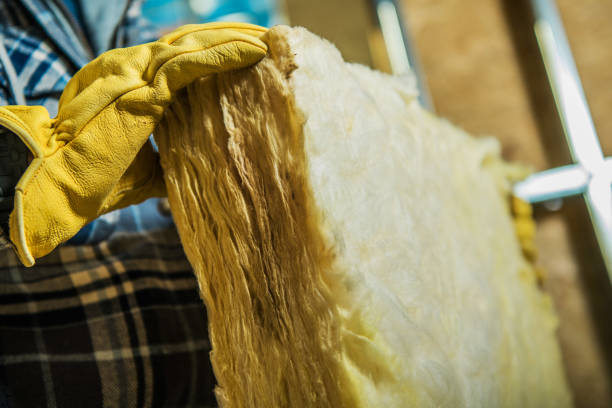 Types of Insulation We Offer in Meridian, MS