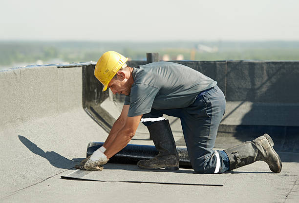 Best Commercial Insulation in Meridian, MS