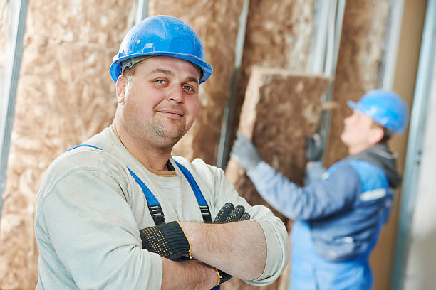 Best Insulation Maintenance and Repair in Meridian, MS