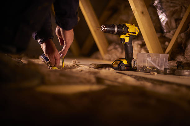 Best Geographic-Specific Insulation Services in Meridian, MS