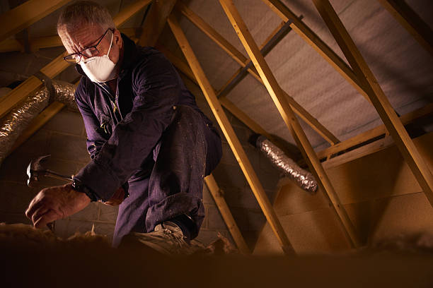 Best Blown-in Insulation in Meridian, MS