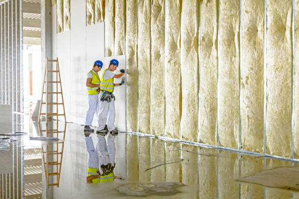  Meridian, MS Insulation Contractor Pros